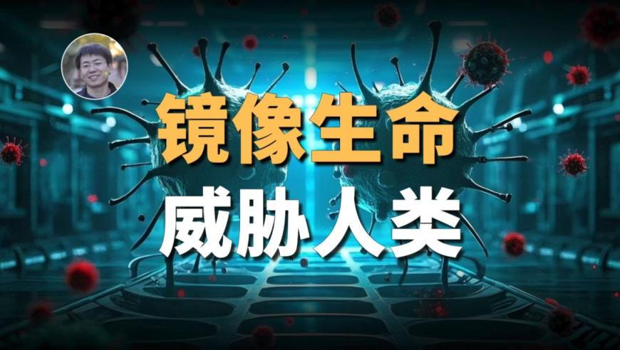 北京最冻人时刻来了,2025奥门资料大全免费,最佳精选解释落实_完整版V7.56